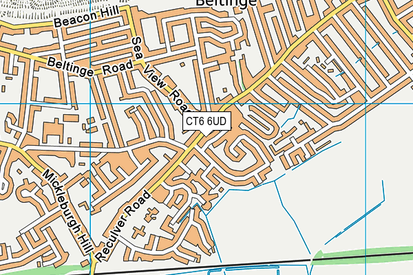 CT6 6UD map - OS VectorMap District (Ordnance Survey)