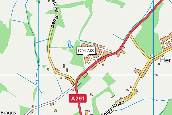 CT6 7JS map - OS VectorMap District (Ordnance Survey)