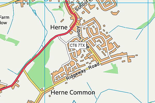 CT6 7TX map - OS VectorMap District (Ordnance Survey)