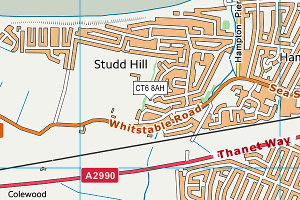 CT6 8AH map - OS VectorMap District (Ordnance Survey)