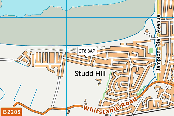 CT6 8AP map - OS VectorMap District (Ordnance Survey)