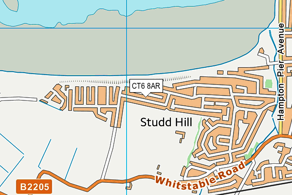 CT6 8AR map - OS VectorMap District (Ordnance Survey)