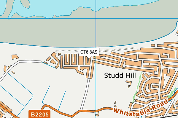 CT6 8AS map - OS VectorMap District (Ordnance Survey)