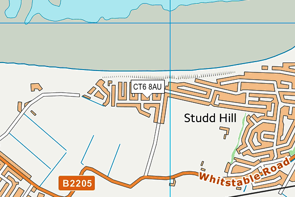 CT6 8AU map - OS VectorMap District (Ordnance Survey)