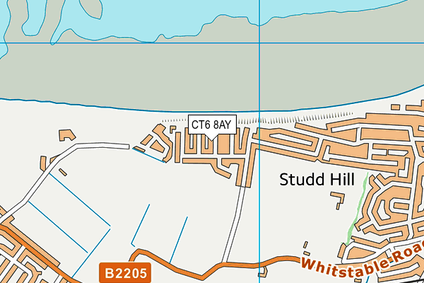 CT6 8AY map - OS VectorMap District (Ordnance Survey)