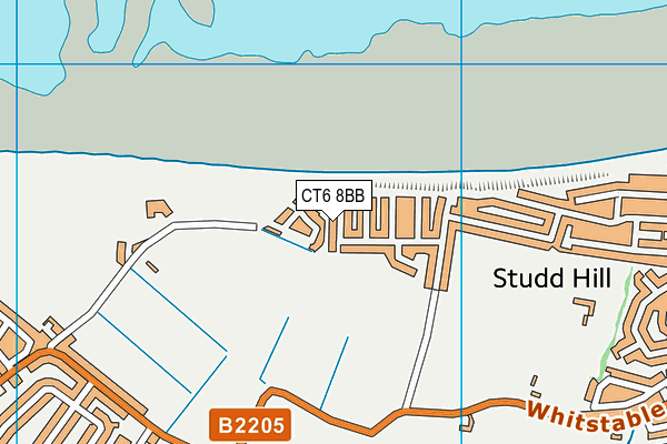 CT6 8BB map - OS VectorMap District (Ordnance Survey)
