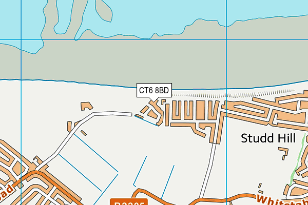 CT6 8BD map - OS VectorMap District (Ordnance Survey)
