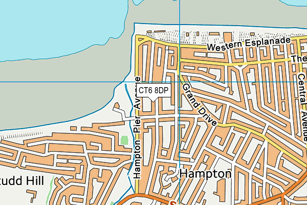 CT6 8DP map - OS VectorMap District (Ordnance Survey)