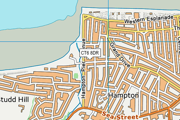 CT6 8DR map - OS VectorMap District (Ordnance Survey)