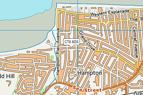 CT6 8DS map - OS VectorMap District (Ordnance Survey)