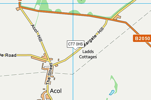 CT7 0HS map - OS VectorMap District (Ordnance Survey)