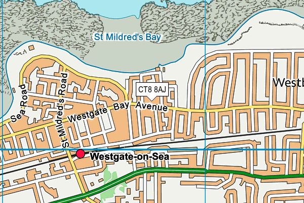 CT8 8AJ map - OS VectorMap District (Ordnance Survey)