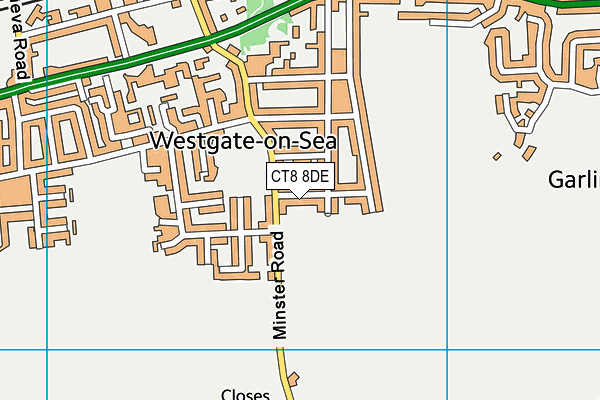 CT8 8DE map - OS VectorMap District (Ordnance Survey)