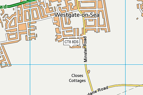 CT8 8DS map - OS VectorMap District (Ordnance Survey)