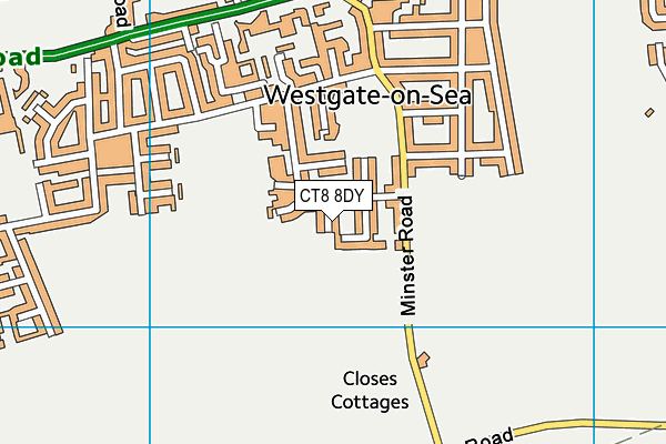 CT8 8DY map - OS VectorMap District (Ordnance Survey)