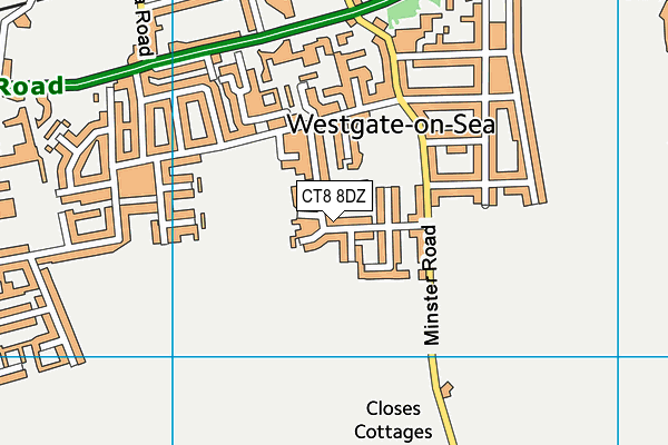 CT8 8DZ map - OS VectorMap District (Ordnance Survey)