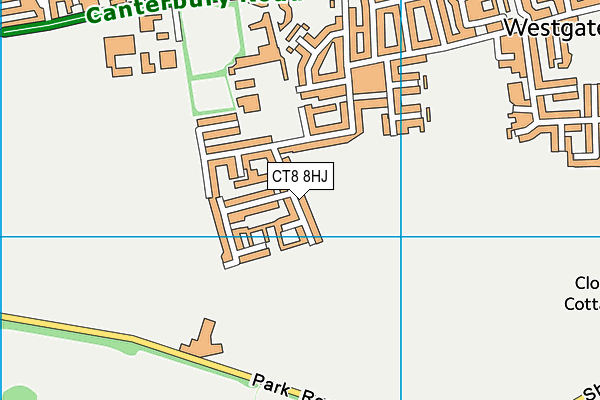 CT8 8HJ map - OS VectorMap District (Ordnance Survey)