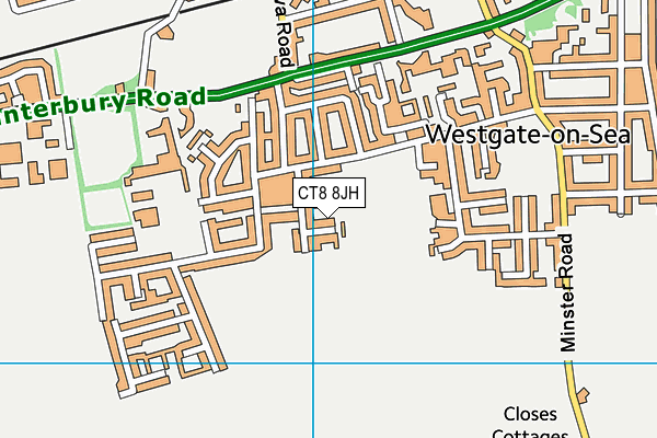 CT8 8JH map - OS VectorMap District (Ordnance Survey)