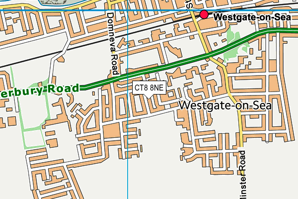 CT8 8NE map - OS VectorMap District (Ordnance Survey)