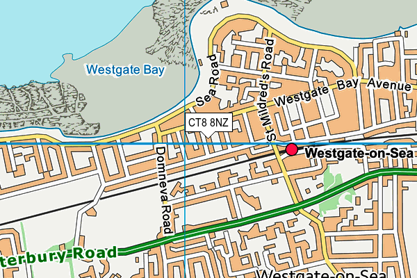 CT8 8NZ map - OS VectorMap District (Ordnance Survey)