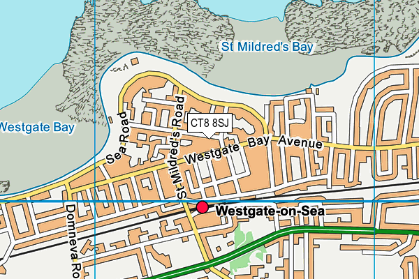 CT8 8SJ map - OS VectorMap District (Ordnance Survey)