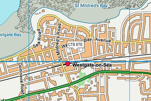 CT8 8TE map - OS VectorMap District (Ordnance Survey)