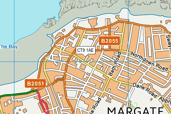 CT9 1AE map - OS VectorMap District (Ordnance Survey)