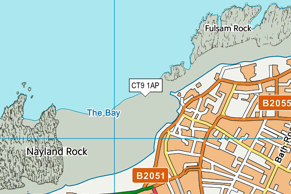 CT9 1AP map - OS VectorMap District (Ordnance Survey)