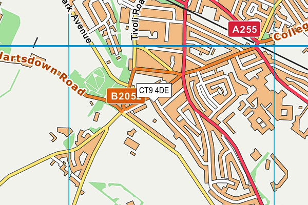 CT9 4DE map - OS VectorMap District (Ordnance Survey)
