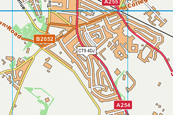 CT9 4DJ map - OS VectorMap District (Ordnance Survey)