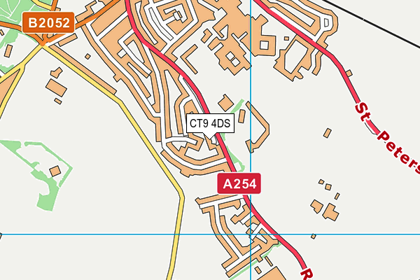 CT9 4DS map - OS VectorMap District (Ordnance Survey)