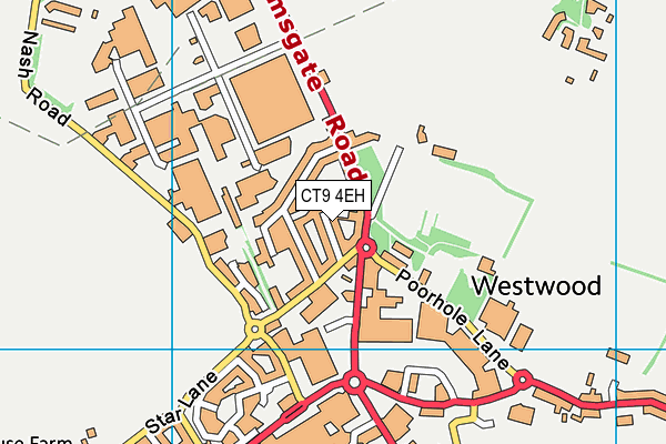 CT9 4EH map - OS VectorMap District (Ordnance Survey)