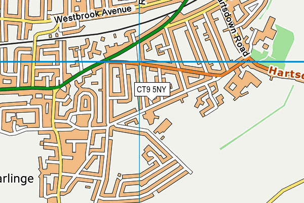 CT9 5NY map - OS VectorMap District (Ordnance Survey)