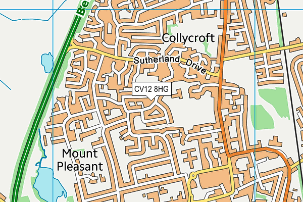 Race Leys Junior School map (CV12 8HG) - OS VectorMap District (Ordnance Survey)