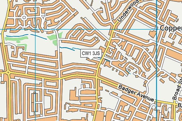 CW1 3JS map - OS VectorMap District (Ordnance Survey)