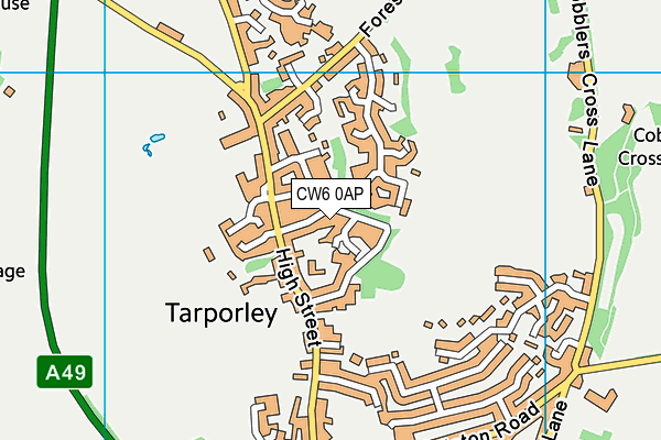 CW6 0AP map - OS VectorMap District (Ordnance Survey)