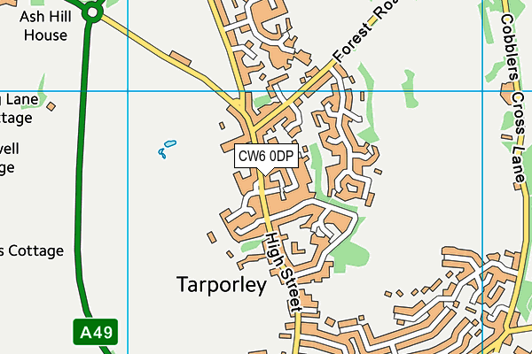 CW6 0DP map - OS VectorMap District (Ordnance Survey)