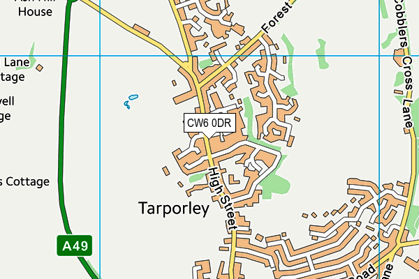 CW6 0DR map - OS VectorMap District (Ordnance Survey)
