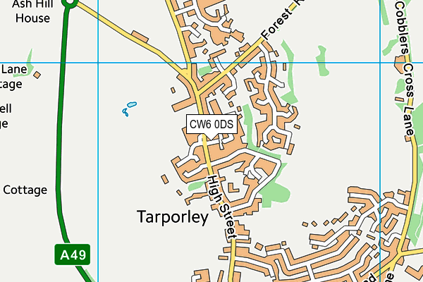 CW6 0DS map - OS VectorMap District (Ordnance Survey)
