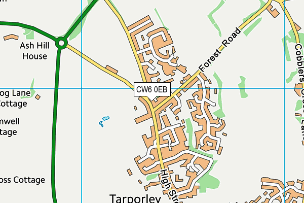 CW6 0EB map - OS VectorMap District (Ordnance Survey)