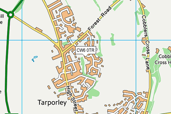 CW6 0TR map - OS VectorMap District (Ordnance Survey)