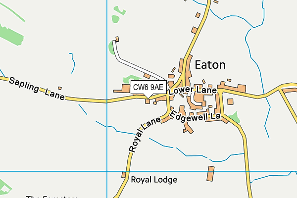 CW6 9AE map - OS VectorMap District (Ordnance Survey)