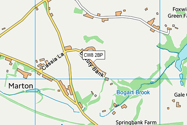 The Plough Playing Fields  map (CW8 2BP) - OS VectorMap District (Ordnance Survey)