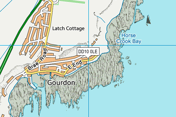 DD10 0LE map - OS VectorMap District (Ordnance Survey)