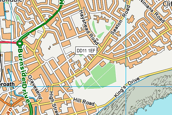 DD11 1EF map - OS VectorMap District (Ordnance Survey)