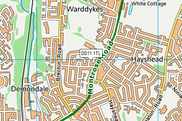 DD11 1TL map - OS VectorMap District (Ordnance Survey)