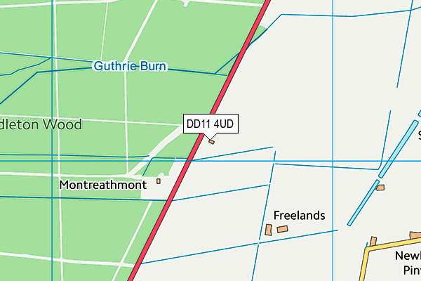 DD11 4UD map - OS VectorMap District (Ordnance Survey)