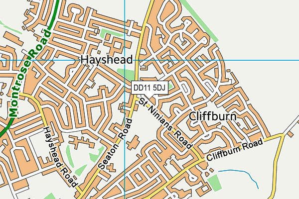 DD11 5DJ map - OS VectorMap District (Ordnance Survey)