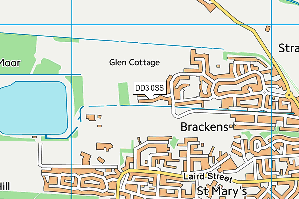 DD3 0SS map - OS VectorMap District (Ordnance Survey)