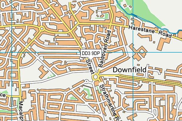 DD3 9DP map - OS VectorMap District (Ordnance Survey)